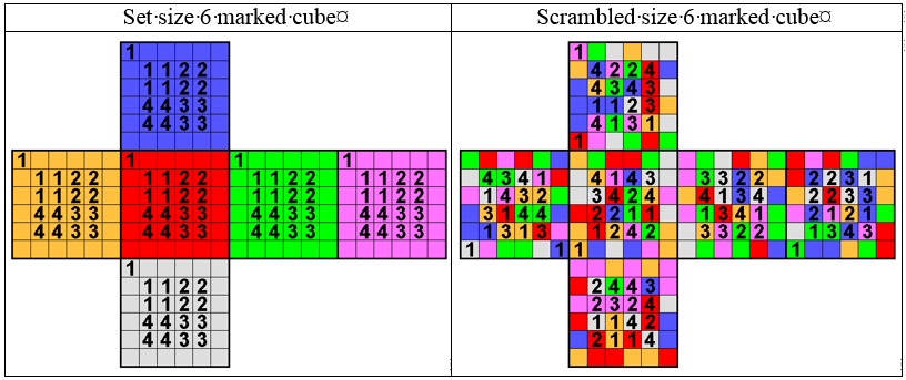 ** Size 6 marked cube set and scrambled states**